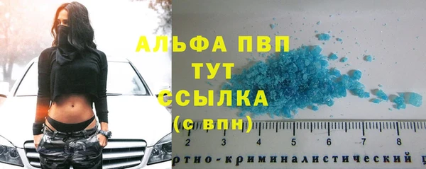 СК Белокуриха