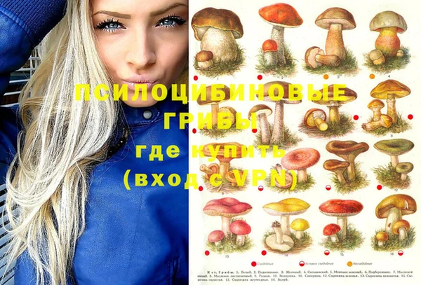 гидропоника Беломорск