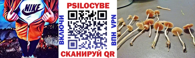Галлюциногенные грибы мухоморы  как найти закладки  Кораблино 